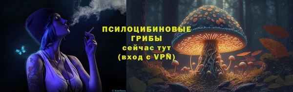 дурь Аркадак