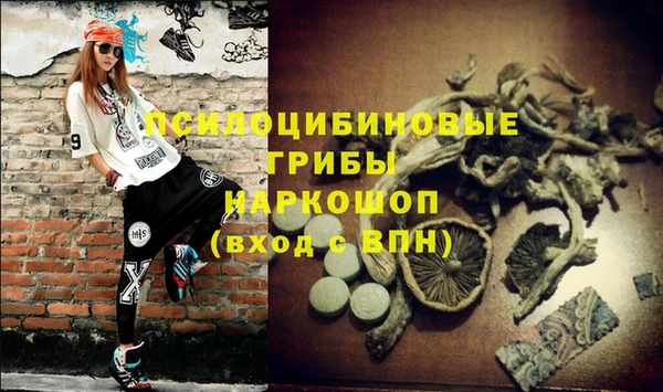 прущий лед Арсеньев
